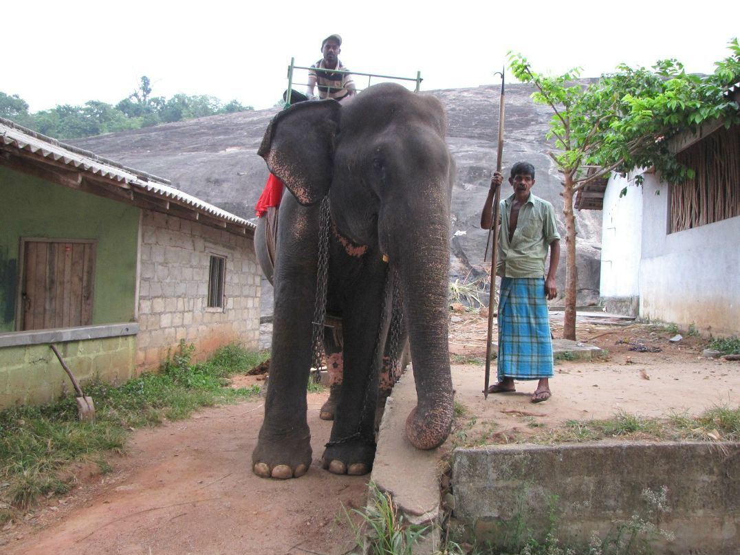 Елена Реснайс | Санкт-Петербург
