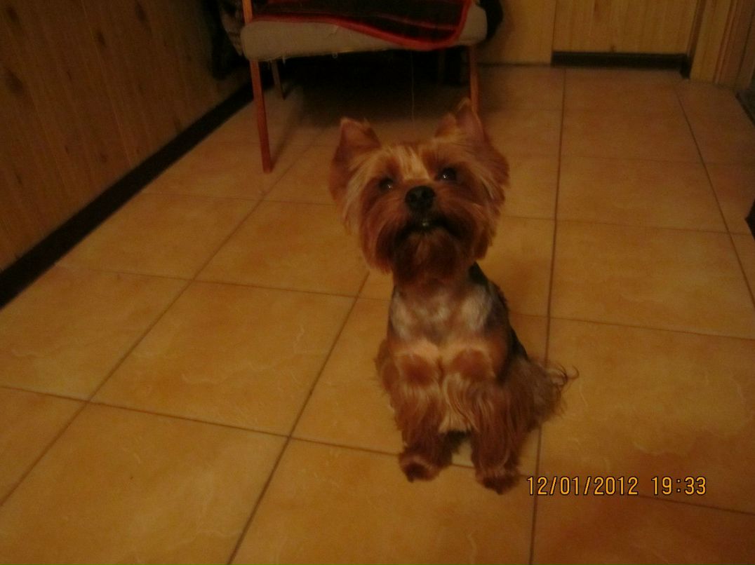 Паша Блашников | Санкт-Петербург