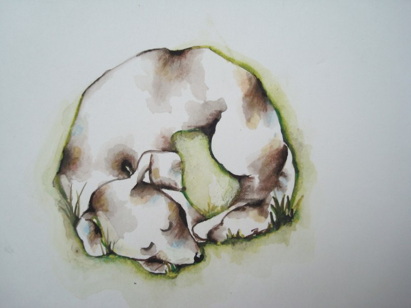 Катя Сапранкова | Минск