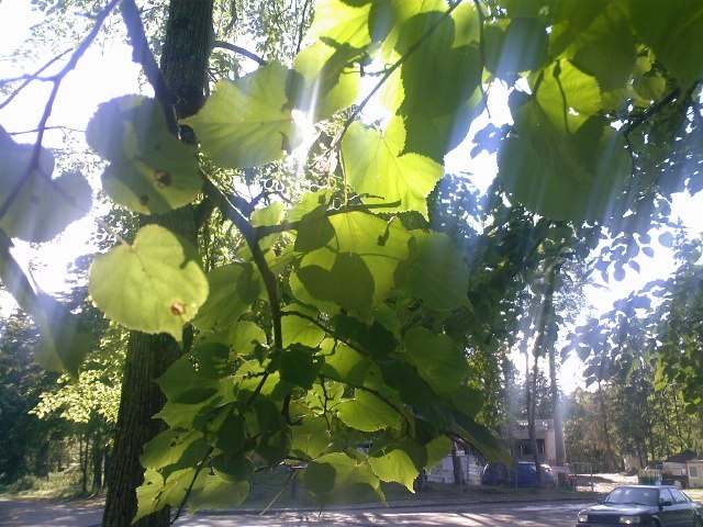 Serz Serzz | Таллин