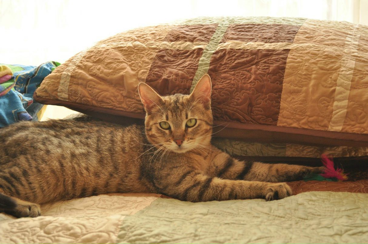 Константин Рагулин | Москва