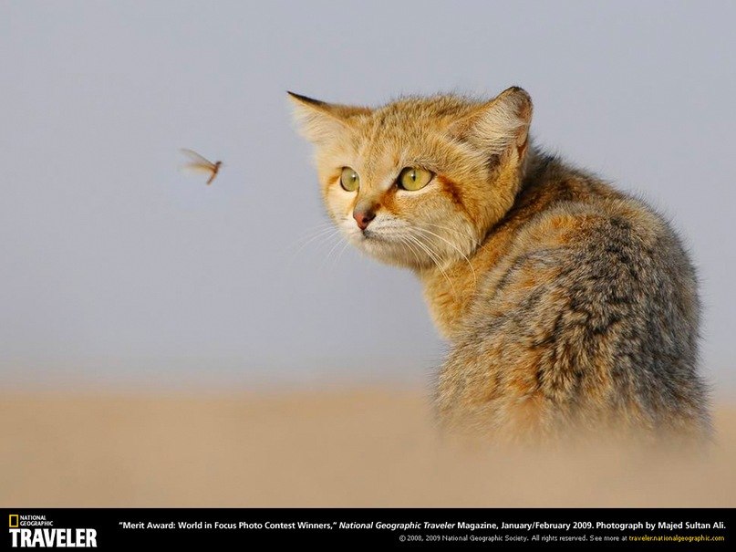 Мария Нестерова | Санкт-Петербург