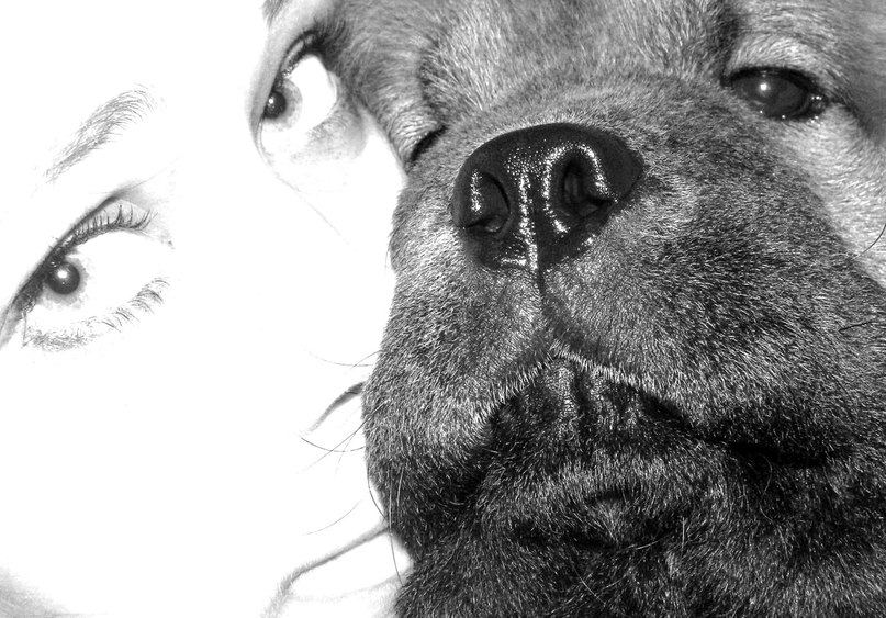 Елена Янок | Бровары