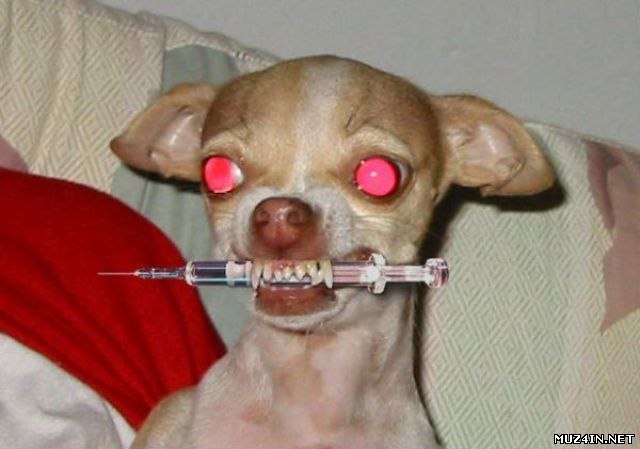 Андрей Сорокин | Озёры