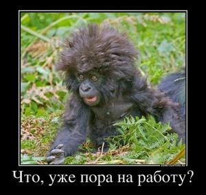 Євген Левченко | Tenochitlán