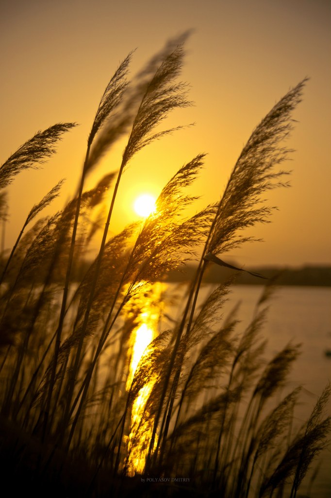 Dmitriy Polyashov | Крым