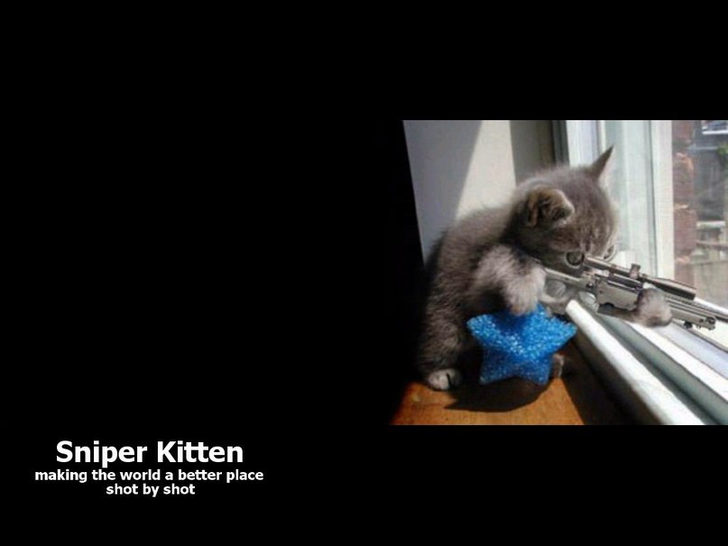 Павел Кукурека ЭЛЬФ | Краснодар