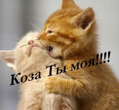 Кристина Пешкова | Ярославль