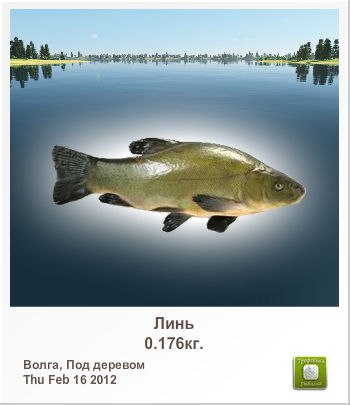 Kardan *** | Новополоцк