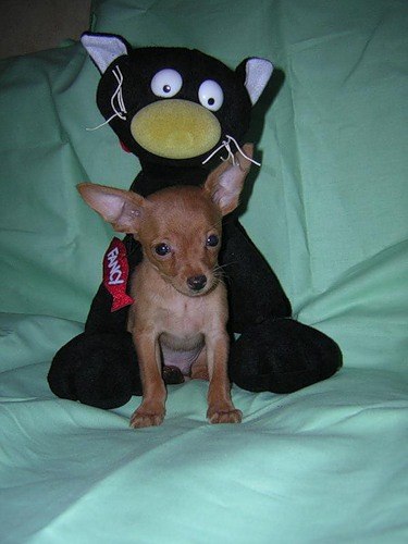 Мириам Соболева | Йошкар-Ола