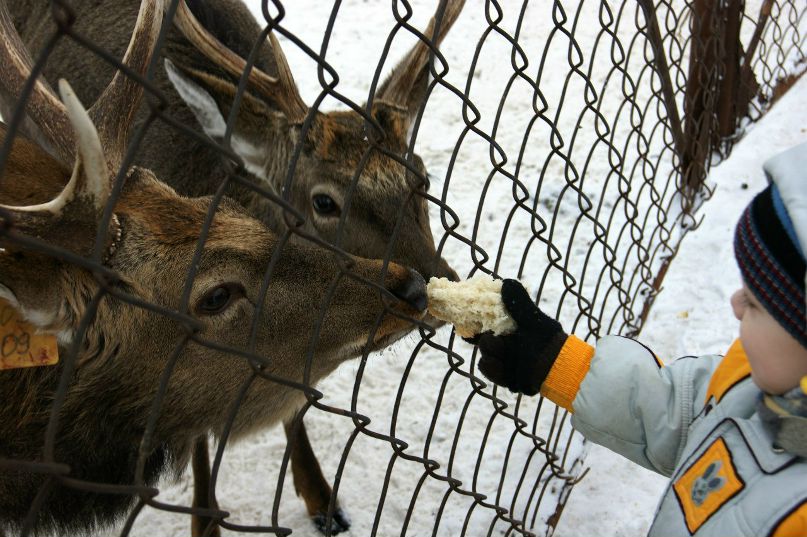 Демьян Тетенко Коллега | Екатеринбург