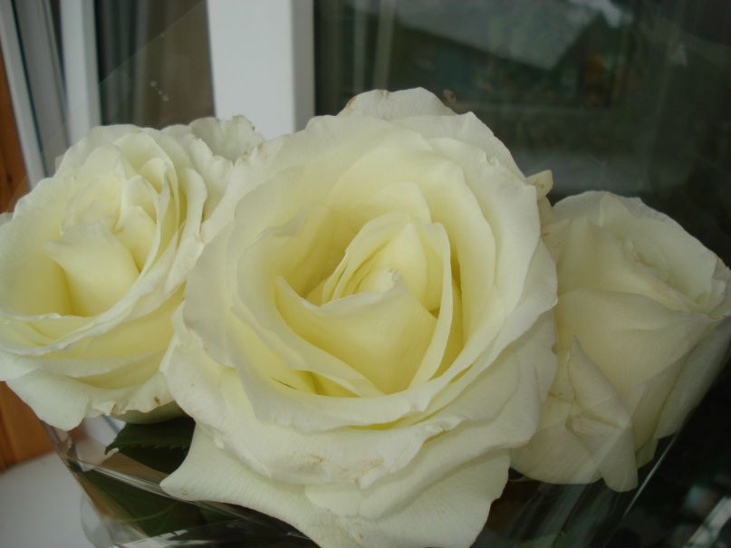 Танюха Иванова | Петрозаводск