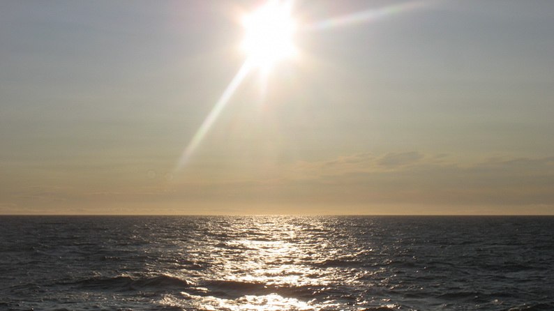 Андрей Сурмач | Warszawa