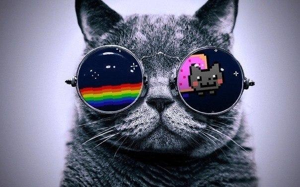 Димон Копылов | Запорожье