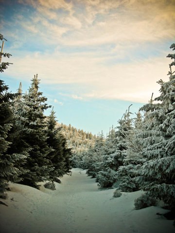 №166, Никита Сорокин, 37 лет, Санкт-Петербург №166, Никита Сорокин, 37 лет, Санкт-Петербург