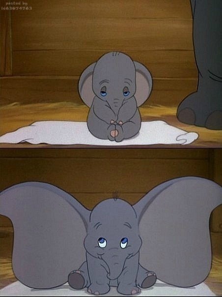 Ирада Фача | 