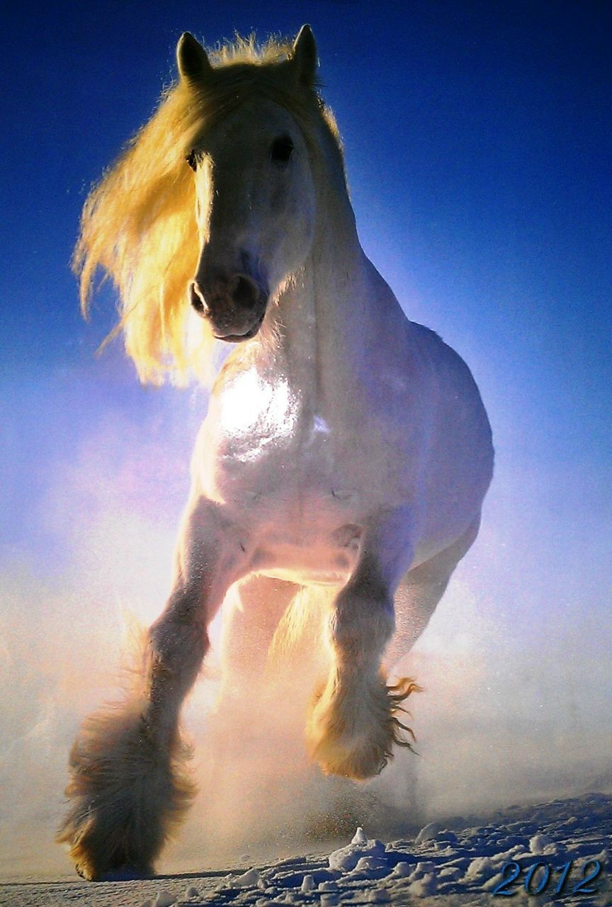 Денис Ворожцов | Санкт-Петербург