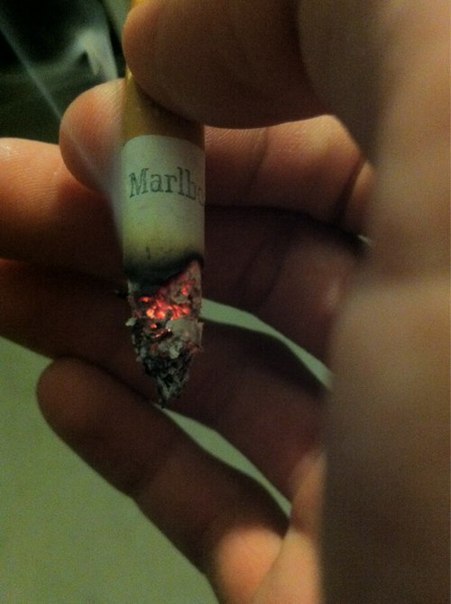 Oleg Sheludko | Киев