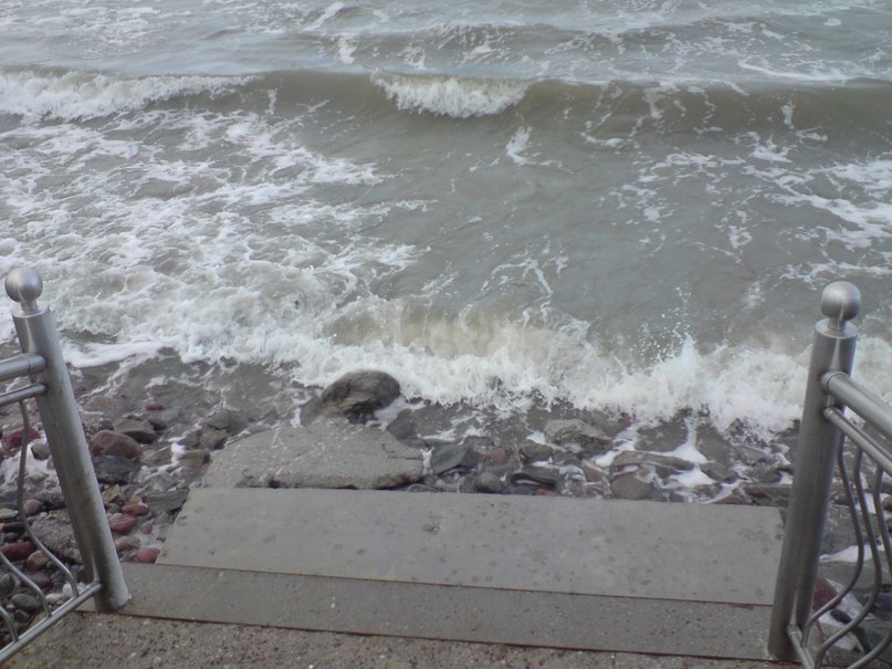 Светлана Шитикова-Гуськова | Калининград