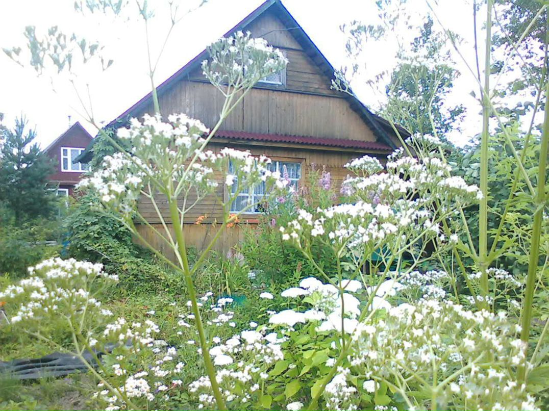 Светлана Градусова | Санкт-Петербург