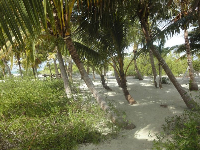 Рома Дашкевич | Мурманск