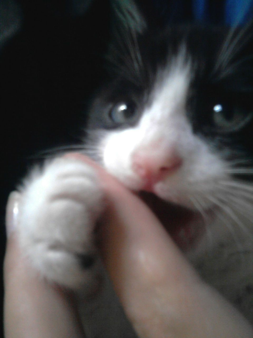 Виталий Левченко | Николаев