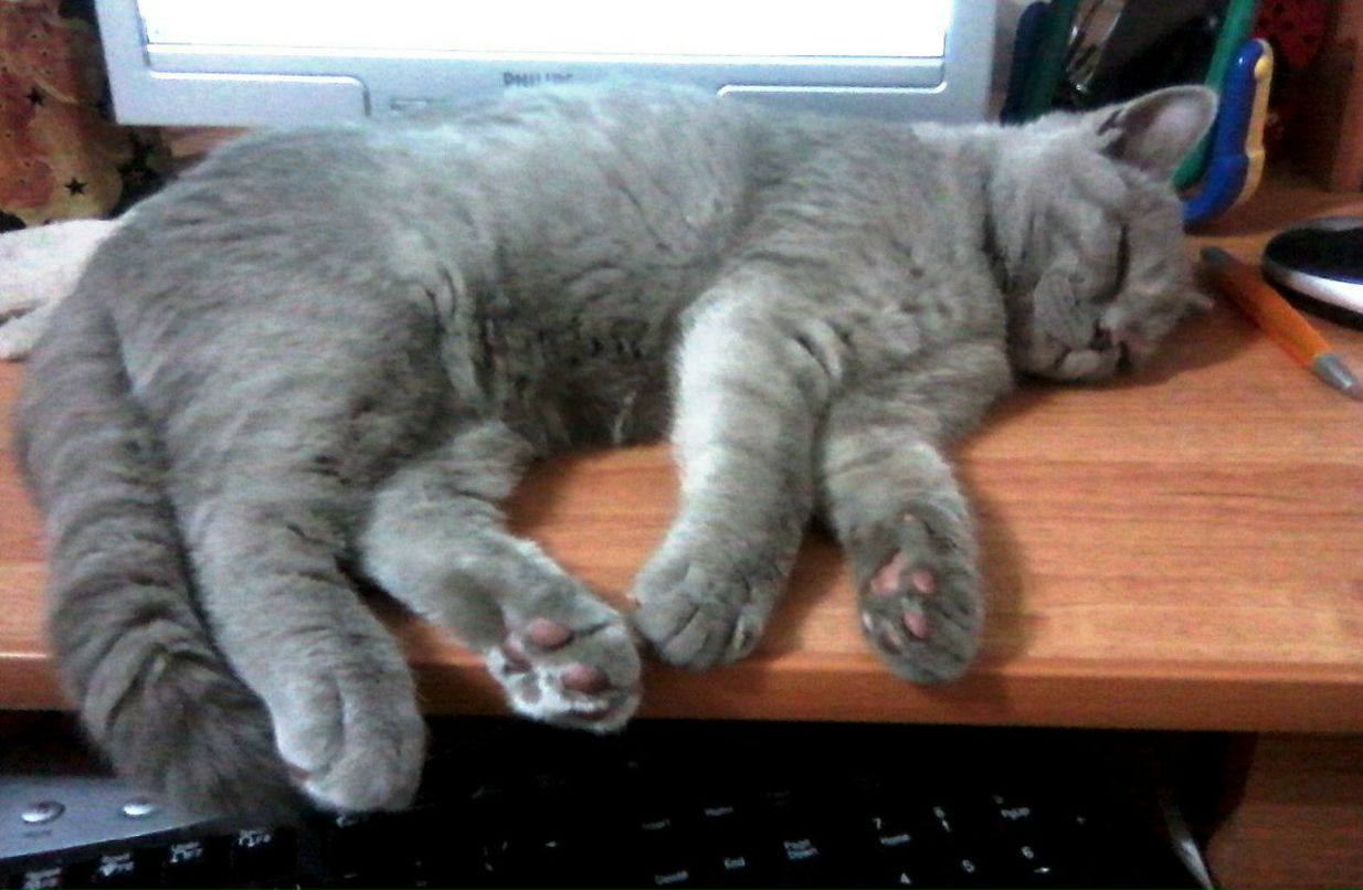 Ольга Шуднева | Полоцк