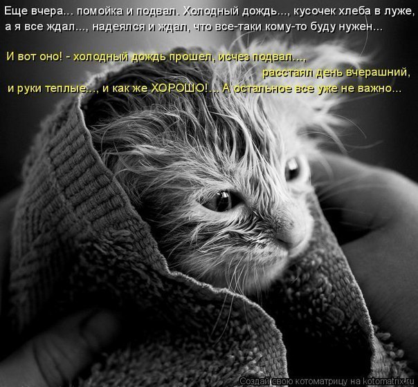 Екатерина Калькина | 