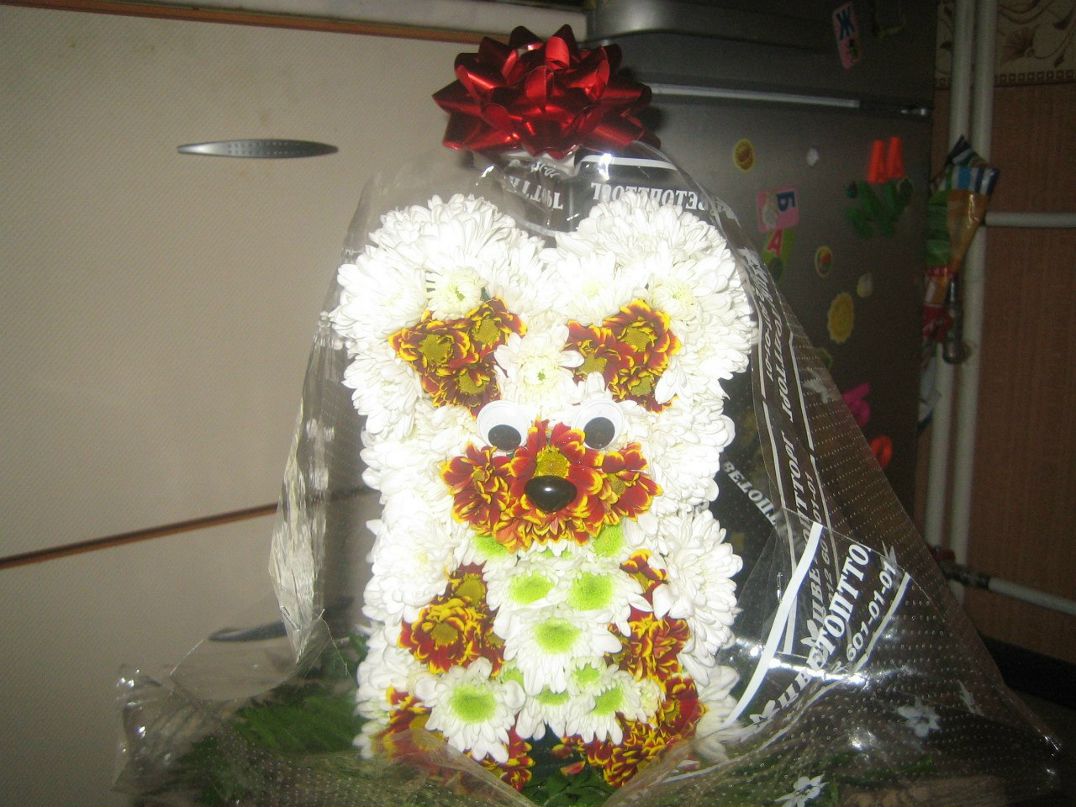 Вера Вайленко | Санкт-Петербург