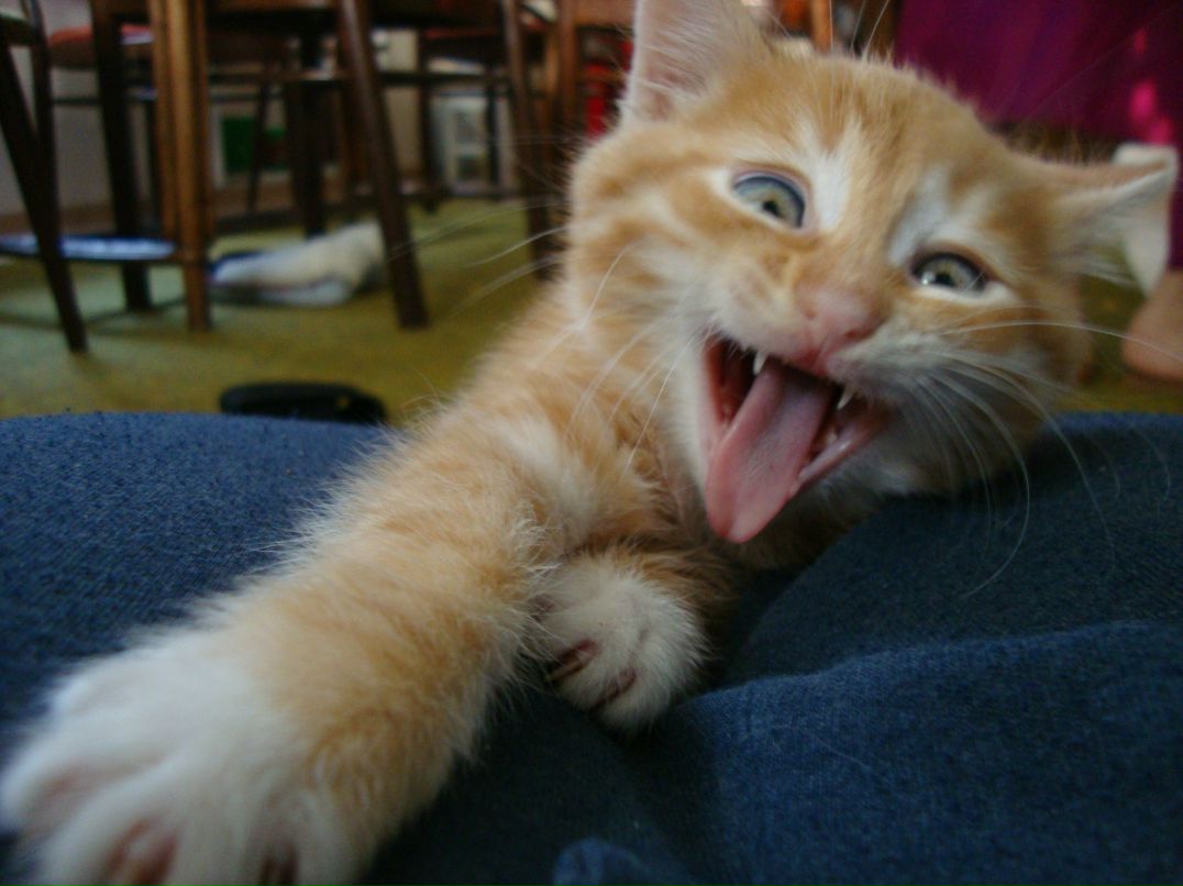 Alexandra Kotzyr | Запорожье