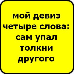 Вика Черкасова | Великий Новгород