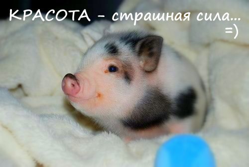 Лена Морозова | Северодвинск