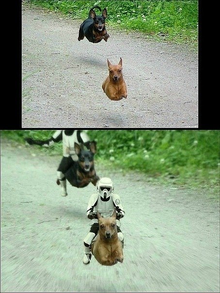 Александр Павлов | Челябинск