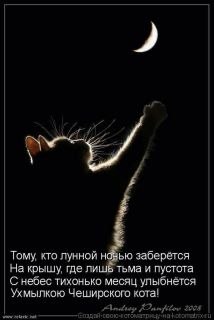 Ольга Тодорова | Луганск