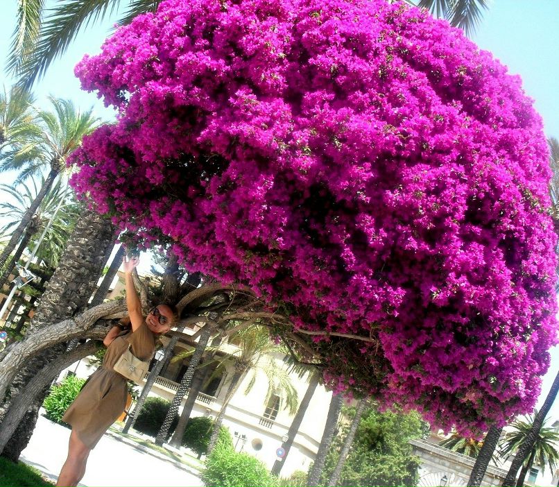 Ольга Комарова | Мурманск