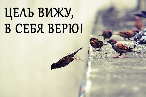 Владимир Преснов | Нижний Новгород