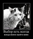 №12 Оксана Шамарина : профиль, фото, статус - ВКонтакте