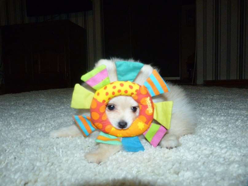 Dasha Maximova | Пермь