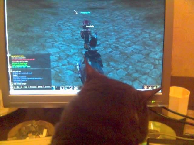 Денис Иванов | Одесса