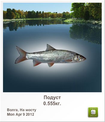 Валерий Гришин | Чаплыгин