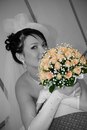 №29 Катерина Павлова
