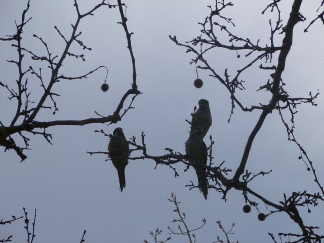 Наталия Лукина | Санкт-Петербург