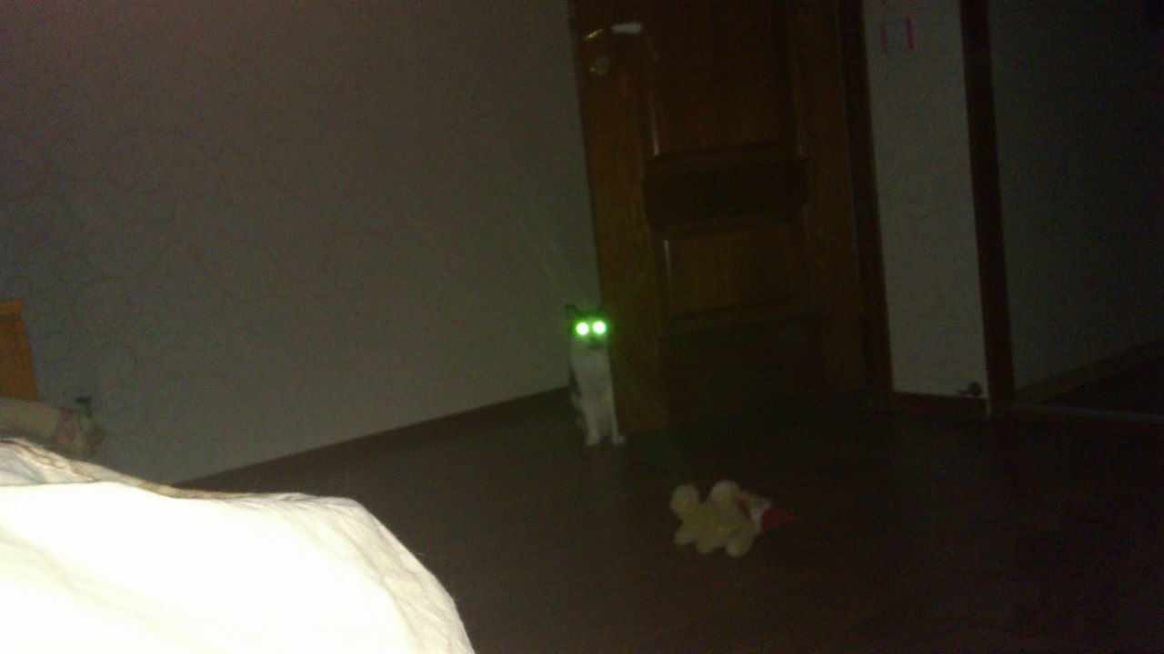 Аня Пилипович | Киев