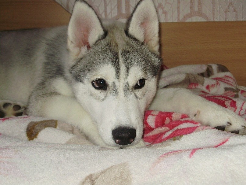 Катерина Платонова | Larnaca