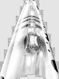 Евгения Парвати | Киев