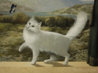 Татьяна Серебрякова