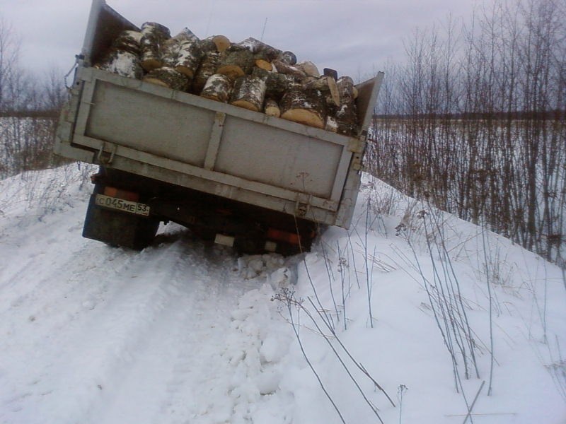 Дмитрий Бутц | Великий Новгород