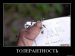 Михаил Скобелев фотография #41