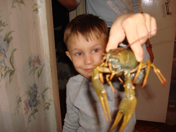 №20, Влад Москвин, Сургут №20, Влад Москвин, Сургут