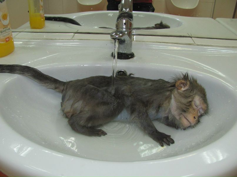 Саня Якимчук | Barcelona